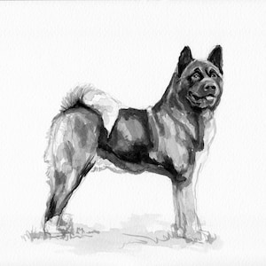 Akita dog art portrait print of an original watercolor painting by C Rudolf