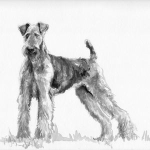 Airedale Terrier dog art portrait print of an original watercolor painting by C Rudolf