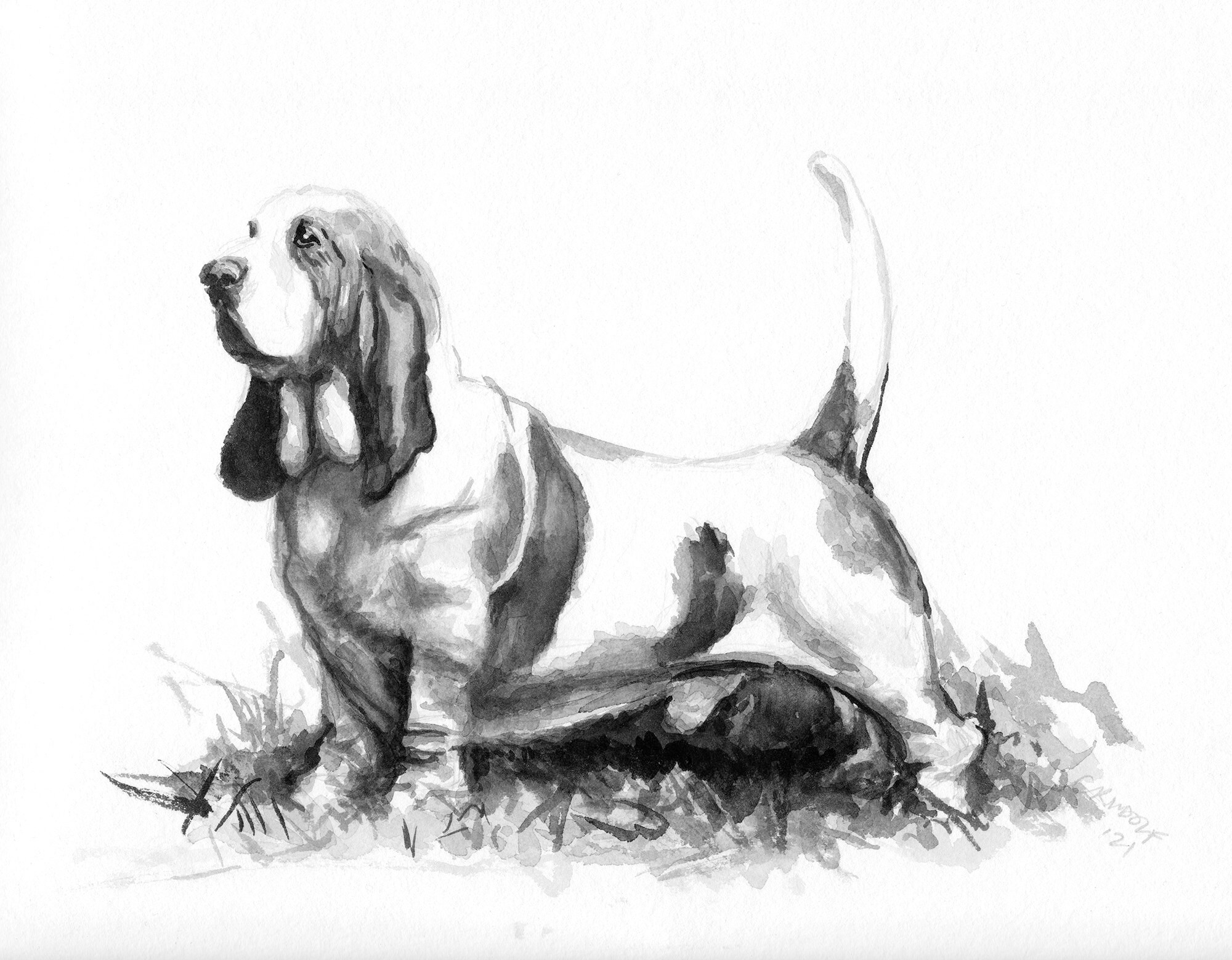 Bassett Fine Art Etsy