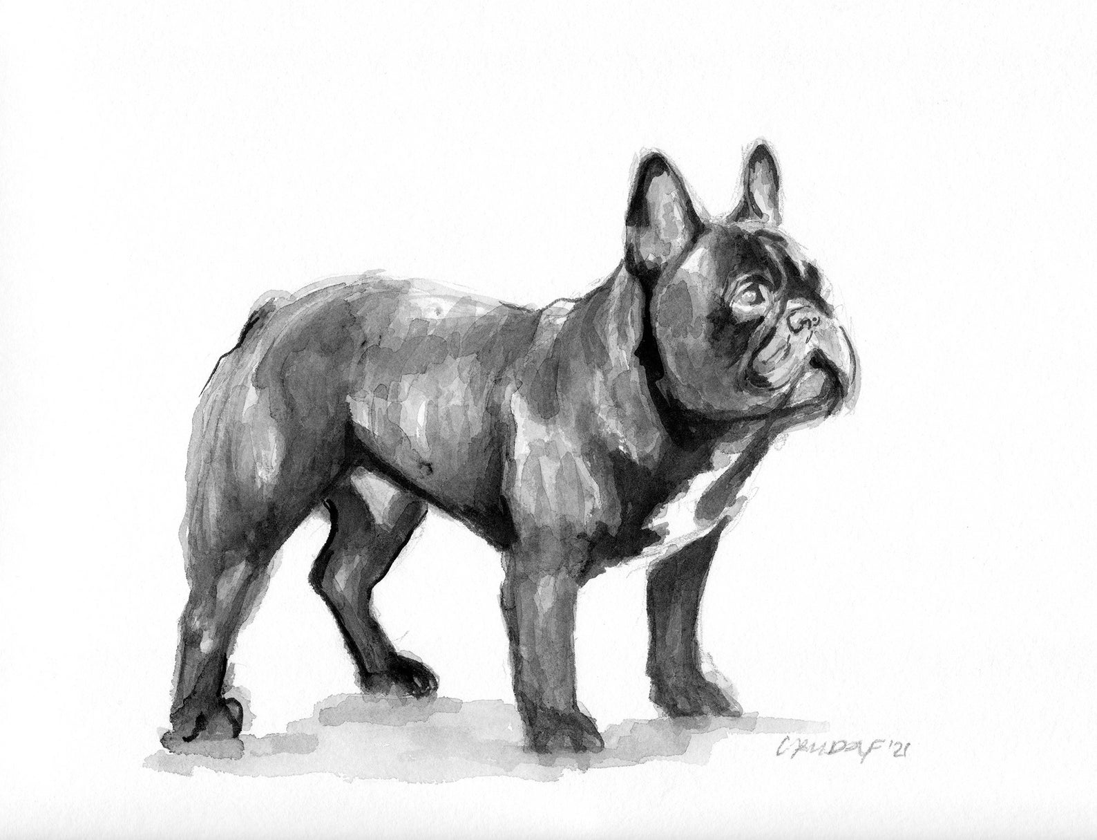 French Bulldog Dog Art Portrait Print of an Original Watercolor ...