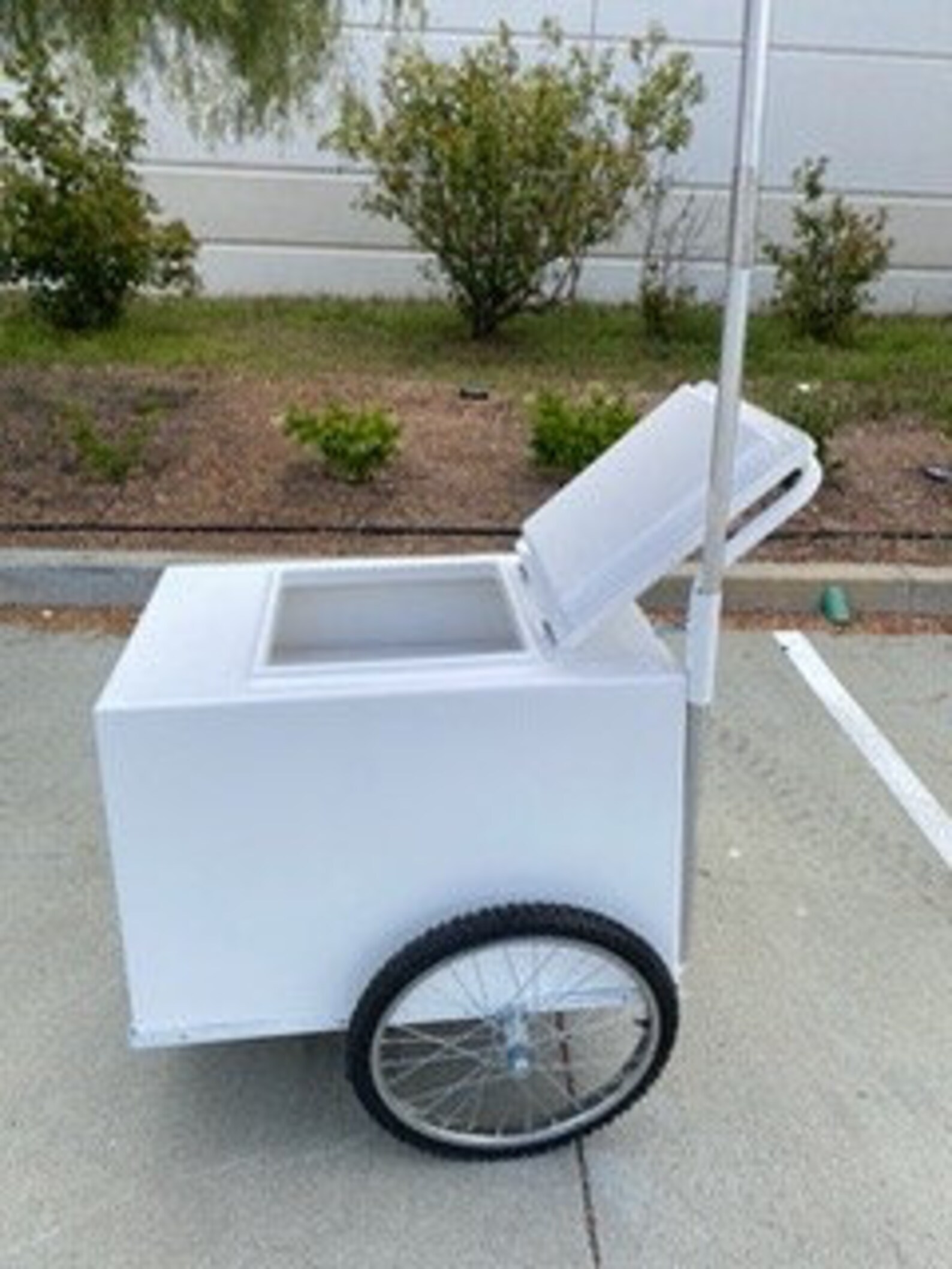 PALETA MOBILE CART Paleta Push Cart Beverages Cart Popsicles Cart Pops