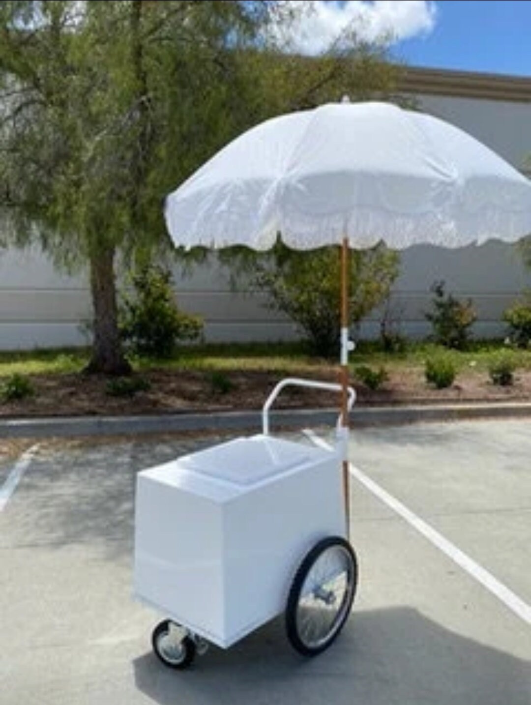 PALETA MOBILE CART Paleta Push Cart Beverages Cart Popsicles Cart Pops