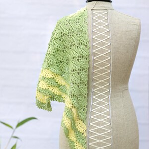 3 CROCHET PATTERNS Tutti Frutti Scarf & Shawl eBook/Pdf image 5