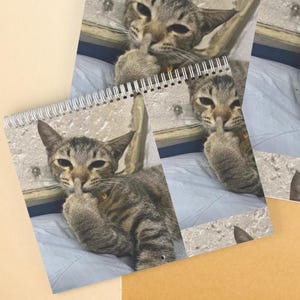 2025-26 Calendar Automated Funny Cat Meme, New Years Gift, Available in 8.5&quot; x 11&quot; and 11.5&quot; x 14&quot; sizes, Gag Gift, Naughty Cat Calendar