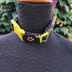 Haustier Regression/Spiel Halsband - Regenbogen Pfoten