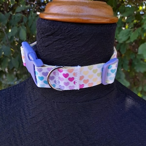 Haustier Regression/Spiel Halsband - Regenbogen Herzen