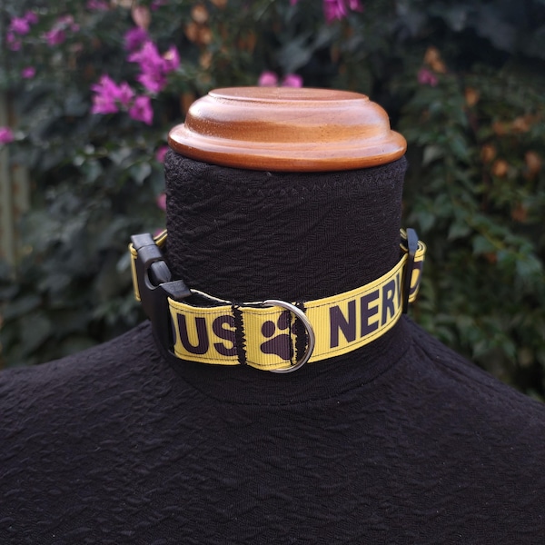 Collar de regresión/juego para mascotas - "NERVIOSO"