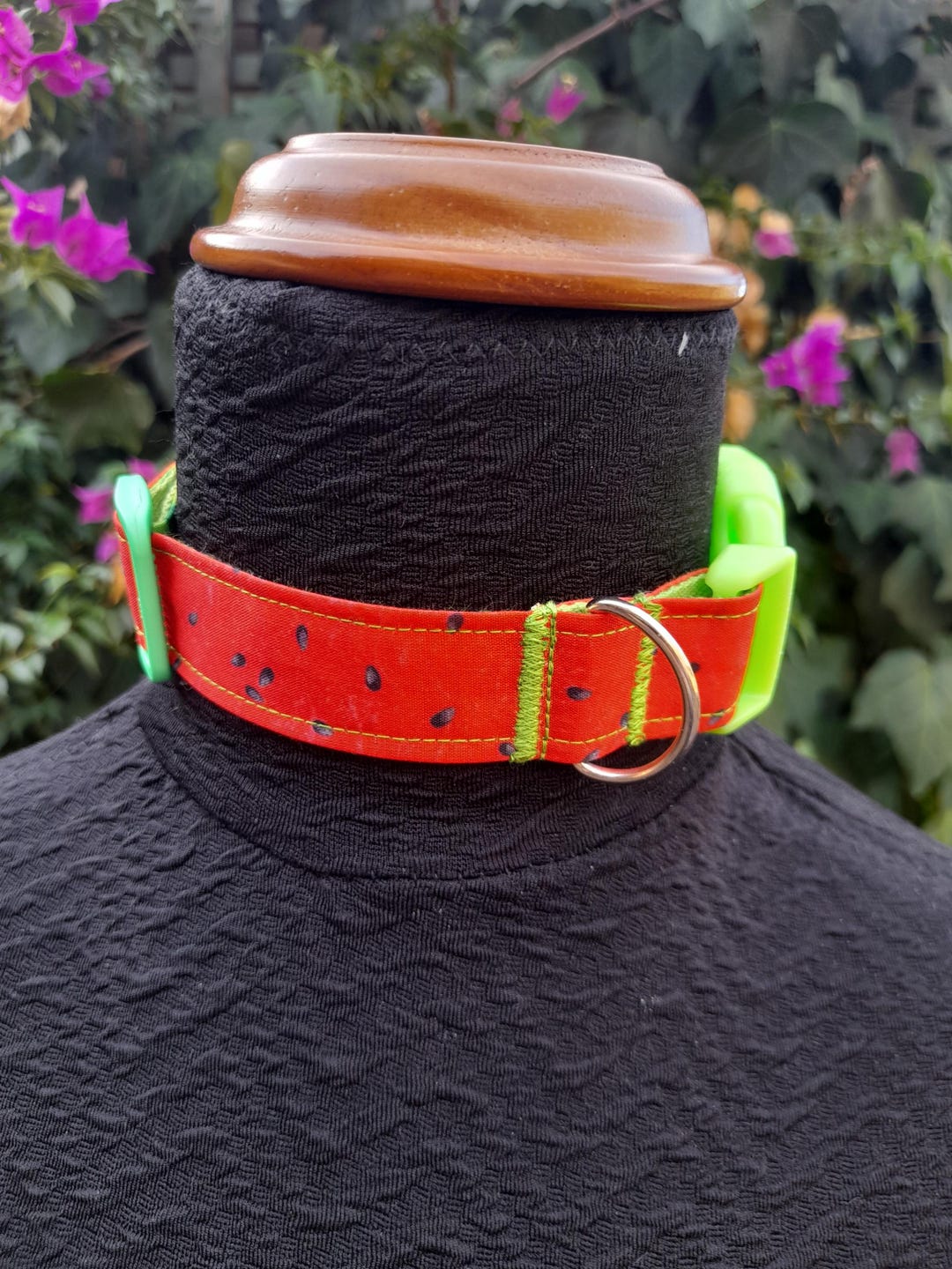Pet Regression/play Collar - Watermelon Pup - Etsy