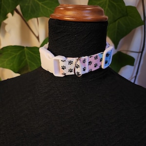 May include: A white pet collar featuring a paw print design in black, pink, and blue. The collar has a white plastic buckle and a silver metal ring. The collar is displayed on a black mannequin.