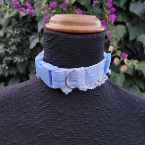 Haustier Regression/Spiel Halsband - Blaue Dinos & Spitze