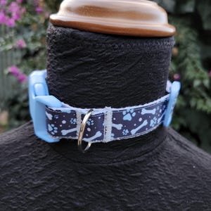 Haustier Regression/Spiel Halsband - Kleiner Blauer Hund