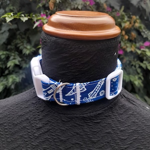 Haustier-Rückführung/Spielhalsband - Glow-in-the-Dark Astro Pup (Blau)