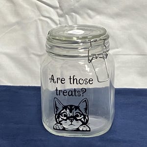 Pet Treat Container Cat