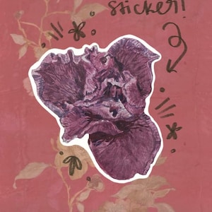 Op de afbeelding: Een donkerpaarse irisbloemsticker gecentreerd op een oudroze achtergrond met vage bloemmotieven. Het woord sticker! staat in zwarte inkt boven de bloem met een pijl ernaartoe, en de tekst kiss & tell staat onderaan.