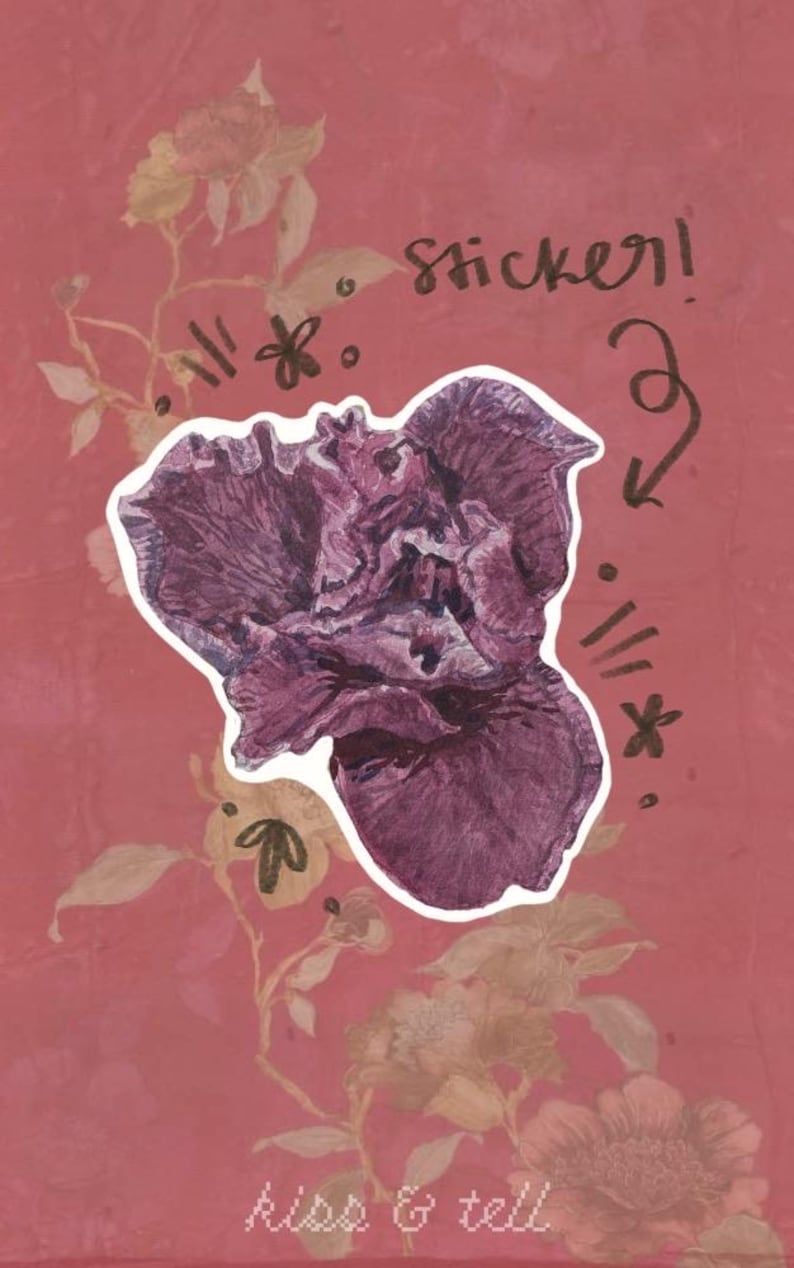Op de afbeelding: Een donkerpaarse irisbloemsticker gecentreerd op een oudroze achtergrond met vage bloemmotieven. Het woord sticker! staat in zwarte inkt boven de bloem met een pijl ernaartoe, en de tekst kiss & tell staat onderaan.