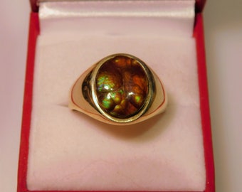 May include: A gold ring with a large oval-shaped gemstone. The gemstone is a mix of brown, green, and gold colors with a swirling pattern.