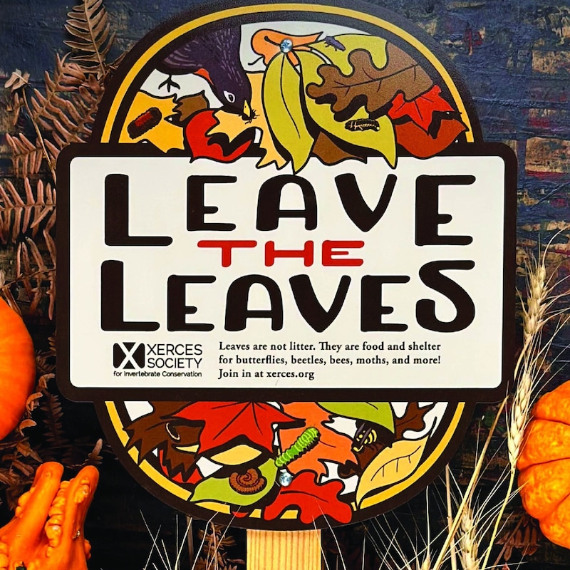 #39 garden Leave #39 Etsy
