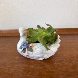May include: A white ceramic swan planter with a succulent plant. The swan has a blue rose and pink ribbon detail. The planter is on a wooden surface. The succulent has green leaves.