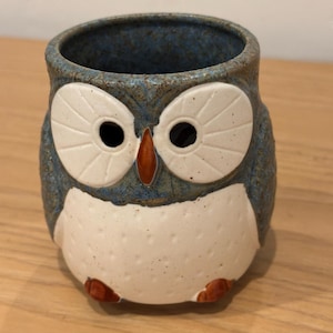 May include: A ceramic owl-shaped mug featuring a textured blue glaze on the head and wings, contrasted by a smooth, off-white belly. The owl has large, white circular eyes with black pupils, a brown beak, and small brown feet at the base.