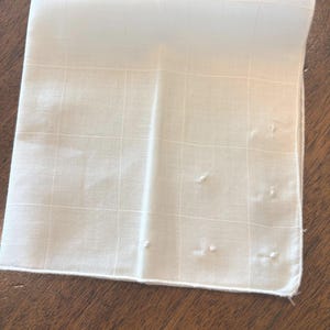 Vintage white cotton embroidered handkerchief