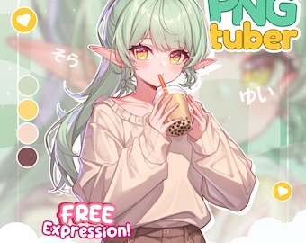 Custom PNGTuber Avatar for Streaming | Anime PNGTuber Model | PNGTuber Commission | Chibi PNGTuber | VTuber Avatar for Twitch