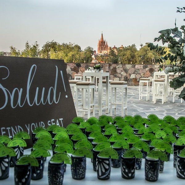 Lime shaped laser cut place cards tags (blank) for shot glasses Wedding birthday thank you tags tequila tags salud