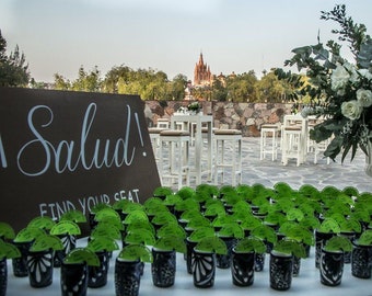 Lime shaped laser cut place cards tags (blank) for shot glasses Wedding birthday thank you tags tequila tags salud