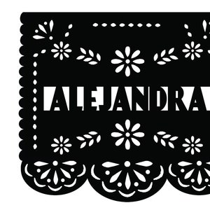 Papel Picado Quince garlands Quinceañera banners Personalized Fiesta Mexican Fiesta Decoration QUINCE garland 15th quince papel picado decor image 8