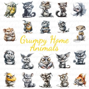 Funny Grumpy Home Animal PNGs - Transparent Background - Cartoon Clipart for Crafts & Decor, Digital Art, Instant Download, Commercial Use