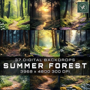Été, arrière-plans forestiers, verdure, forêt enchantée, paysages de printemps, toiles de fond d'extérieur, art inspiré de la nature, superpositions numériques