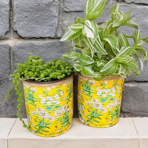 May include: Two yellow tin can planters with daisy floral patterns. One holds a trailing plant with small green beads, the other has green and white striped leaves. The planters sit on a white shelf.
