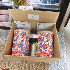 May include: A cardboard box holds two cylindrical containers with a blue floral pattern featuring red and white flowers. The containers are labelled "Rosemary" and "Basil." The box also contains compost and planting sticks. The brand name "Botanical Bliss" is visible.