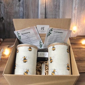 Bee Herb Garden Gift Set: Eco-Friendly Planter Kit