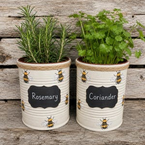 Bee Herb Garden Gift Set: Eco-Friendly Planter Kit