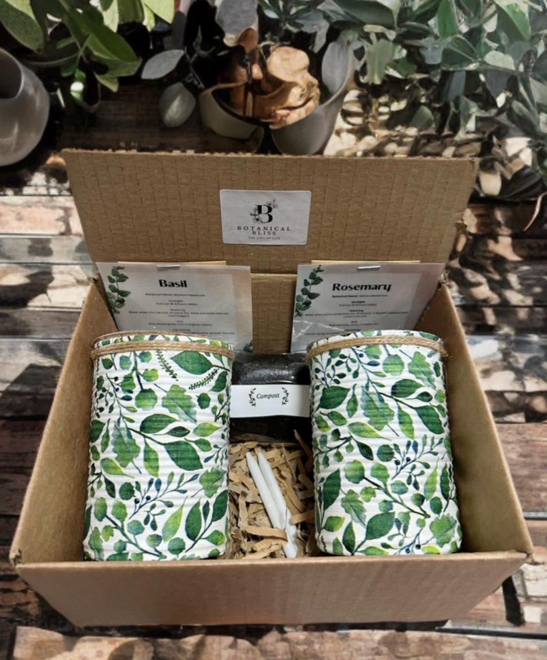 Eco-friendly Herb Garden Gift Set: Recycled Pots, Grow Your Own Herbs ...