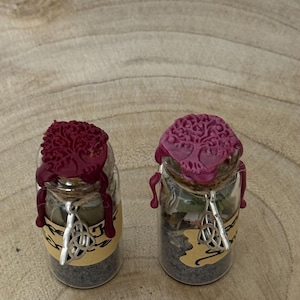 Peut inclure: Deux petits bocaux en verre avec des sceaux de cire rouge foncé et violet. Chaque bocal a un charme argenté et une étiquette. Les bocaux sont remplis d'herbes et reposent sur une surface en bois.