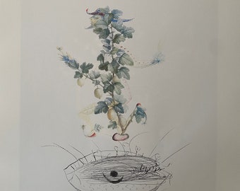 真作　サルヴァドールダリ　リトグラフ　ダンテ　神曲　煉獄編　500部限定　サイン 真作】サルバドール・ダリ 大判リトグラフ 直筆サイン 絵画 版画 額装