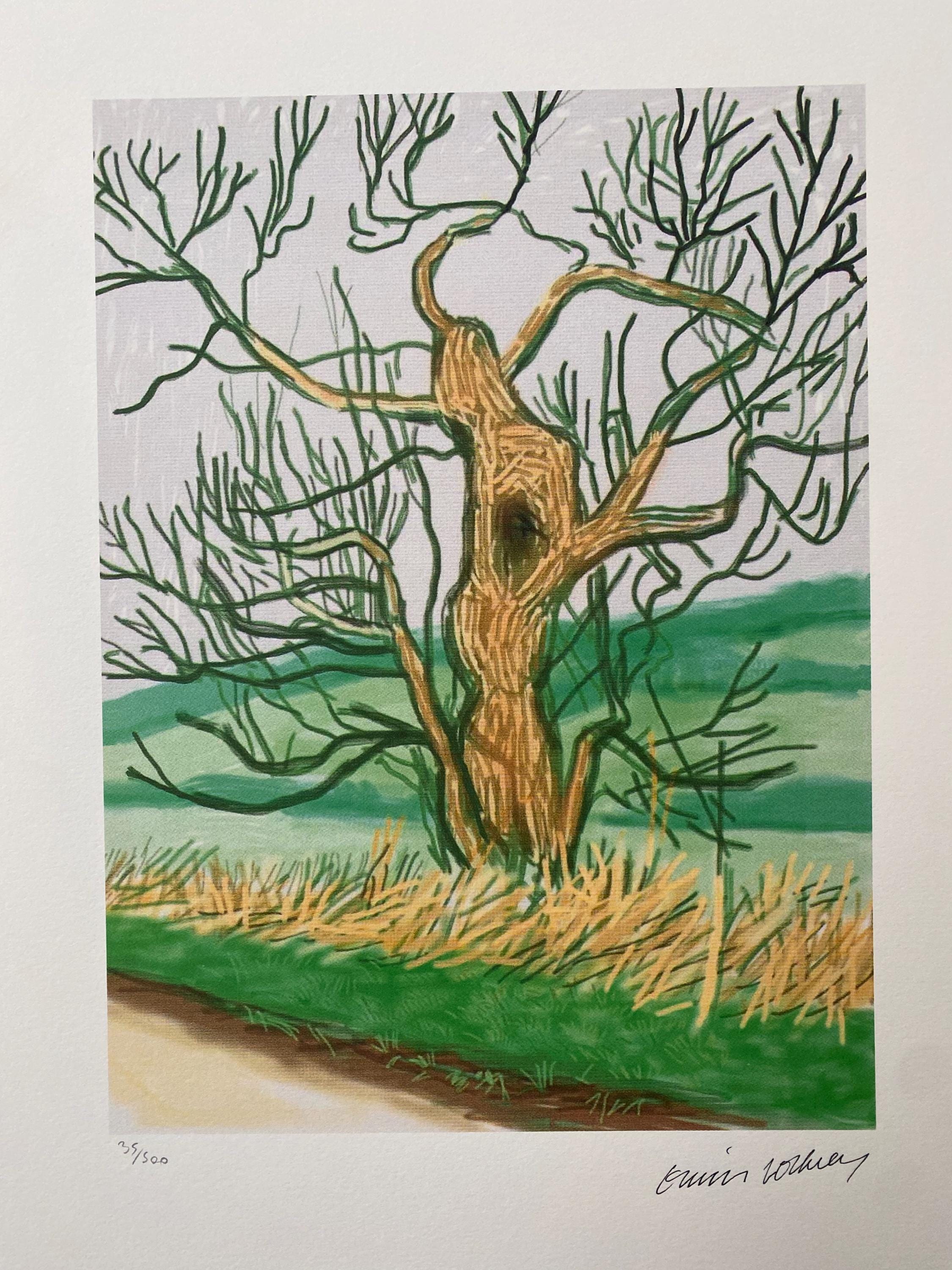 David Hockney Lithograph: the Arrival of Spring, Signed, With