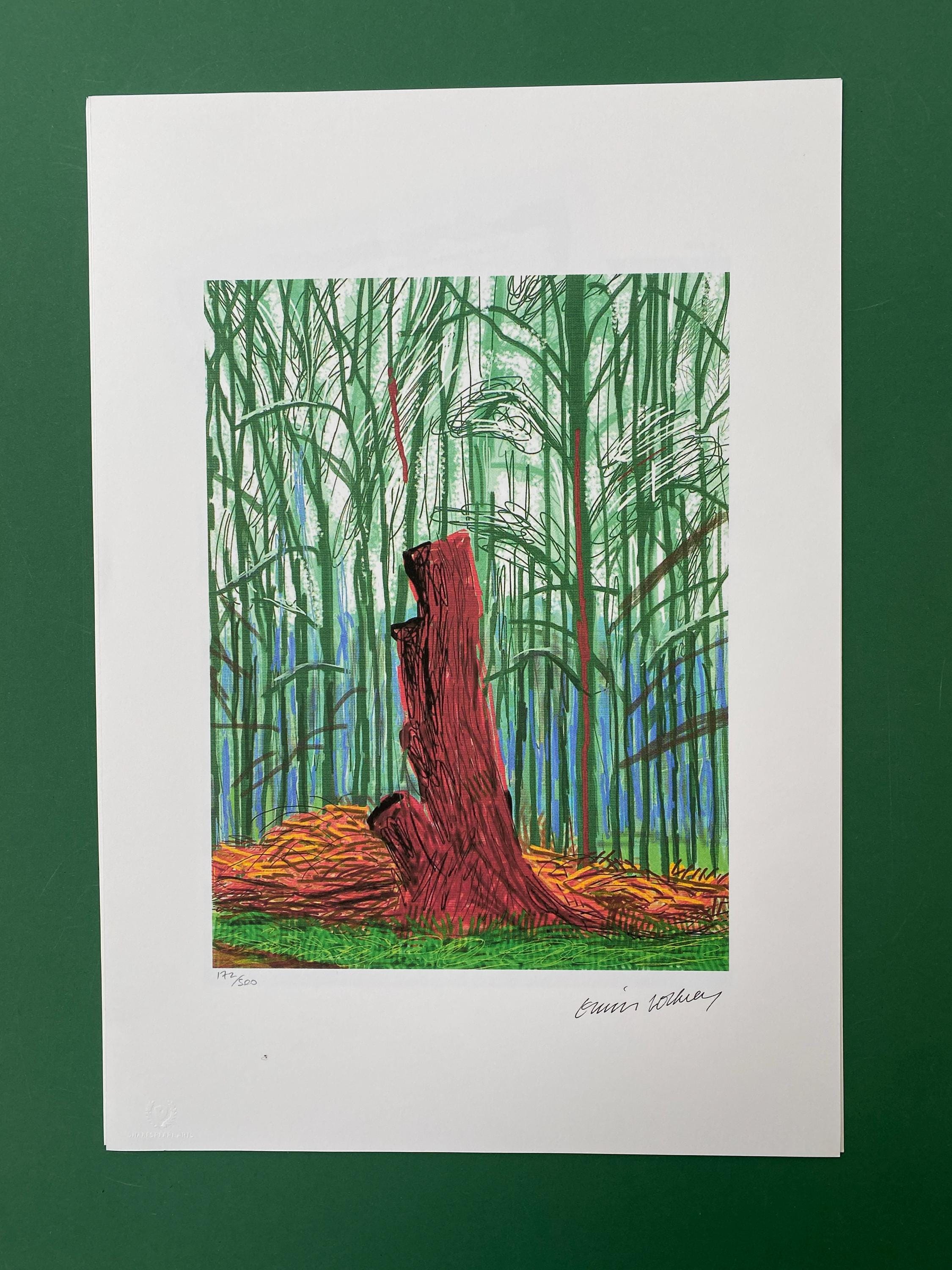 David Hockney Lithograph: the Arrival of Spring, Signed, With David Hockney Lithograph: the Arrival of Spring, Signed, With
