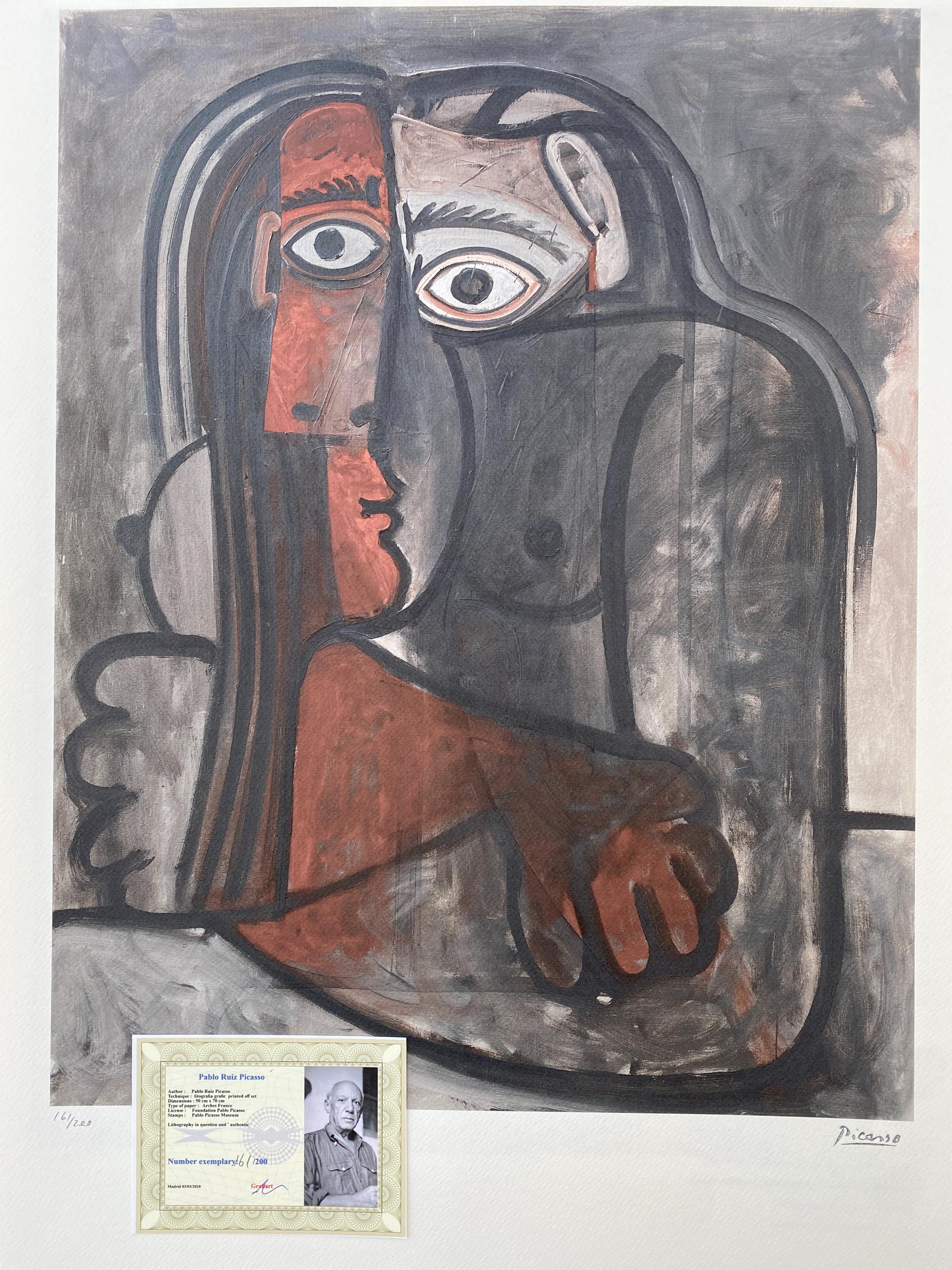 Picasso 