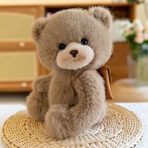 Cute backpack teddy bear doll hug bear plush toy bear doll children