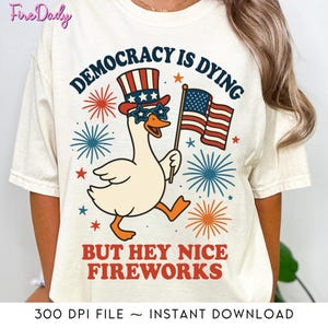 Democracy Is Dying But Hey Nice Fireworks Digital Png, 4th of July, Funny Goose With Fireworks Png, Memorial Day, Independence Day Digital