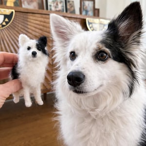 Può includere: Una piccola statuetta di cane in lana infeltrita ad ago con pelo bianco e nero, orecchie a punta e naso nero, tenuta accanto a un cane vivo con pelo bianco e nero abbinato, occhi marroni e naso nero, che rispecchia l'aspetto della statuetta.