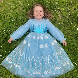 Vestito di Elsa per bambine – Costume blu di Frozen per bambine piccole