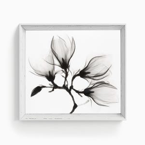Elegant Black & White Floral Art | Magnolia Branch | Minimalist Botanical Print | PRINTABLE Digital Download