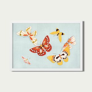 Colorful Butterfly Illustration | Vintage Insect Art | PRINTABLE Digital Download