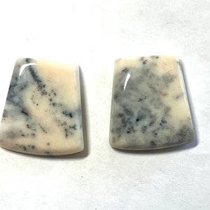 May include: Two trapezoidal cabochons with a polished, smooth surface. The stones are off-white with dark gray, fern-like dendritic inclusions scattered across the face of each piece. Both items feature a flat base and a slightly curved top edge.