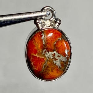 May include: A silver pendant with a red and orange spiny oyster shell inlay. The pendant is oval shaped and has a smooth, polished finish.