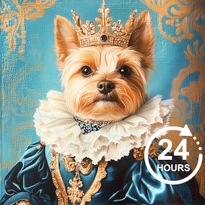 May include: A Yorkshire Terrier dog wearing a blue and gold royal costume with a white lace collar and a gold crown. The dog is looking directly at the camera. The image has a 24 hours text with a circular arrow.