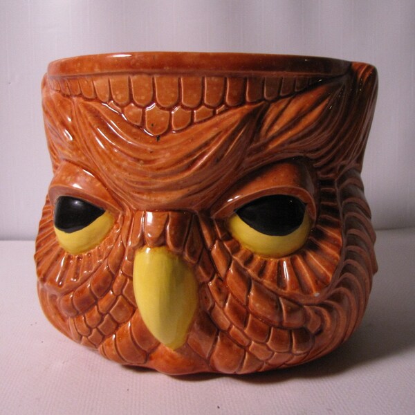 OBEY the Owl. Fab and Wonky Owl Head Large Ceramic planter, love it